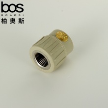 PPR-內牙直通